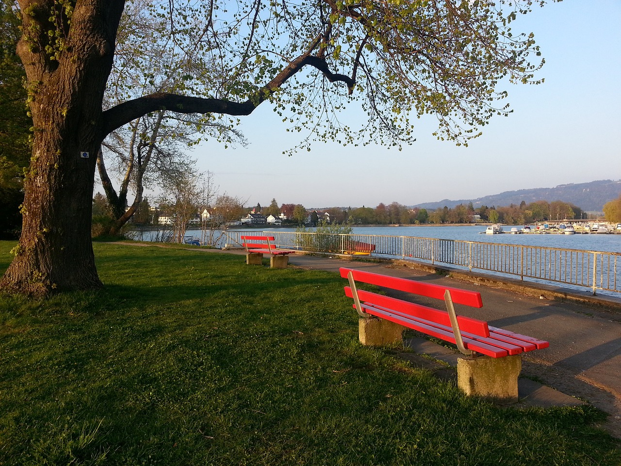 阿根廷黄金 阿根廷黄金