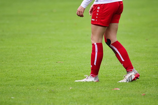 员提供了向 员提供了向