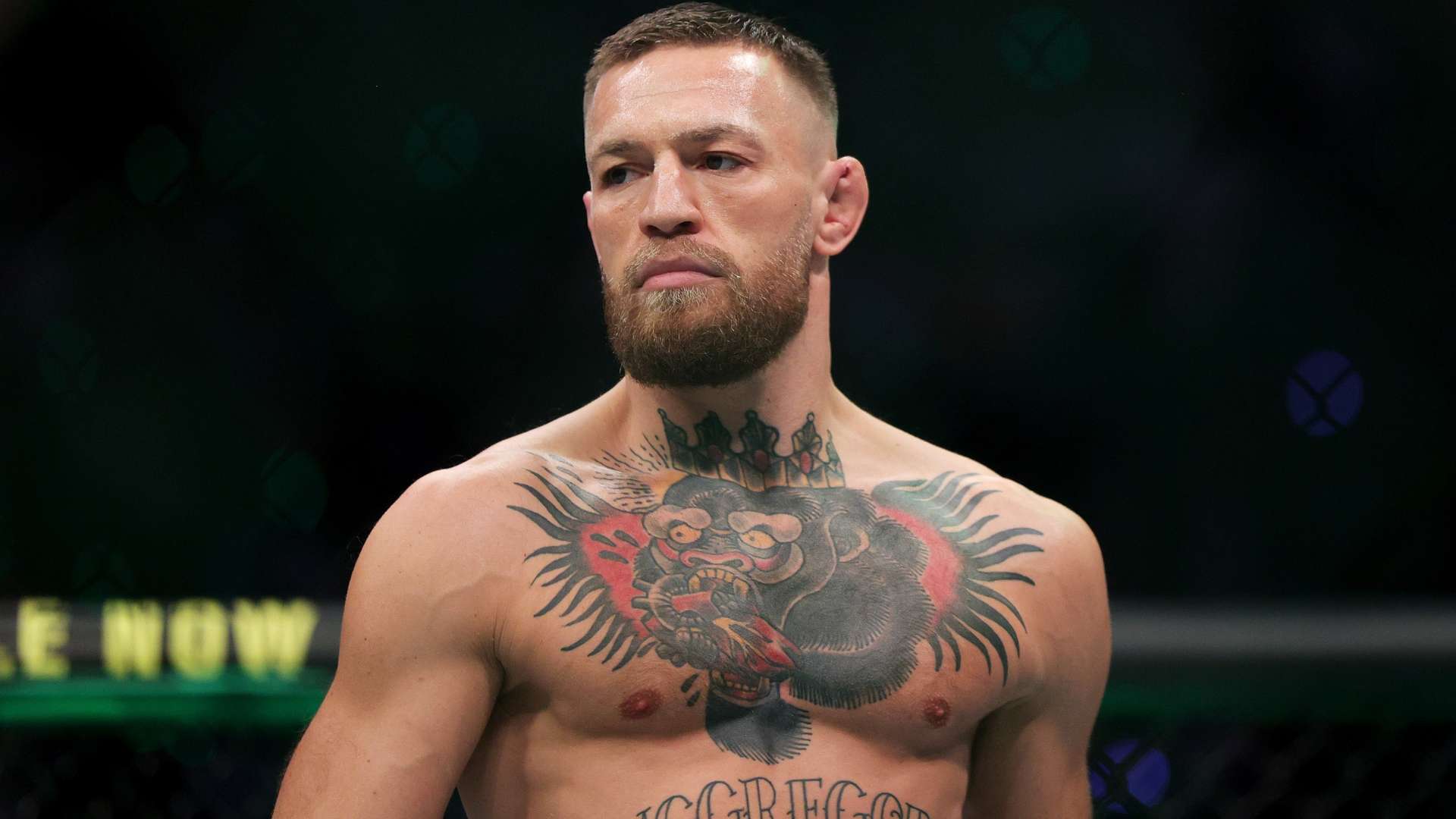 难以预知的 难以预知的